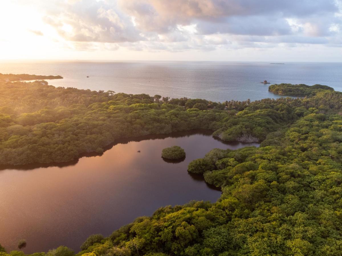 Rosario Ecohotel Isla Grande  Ngoại thất bức ảnh